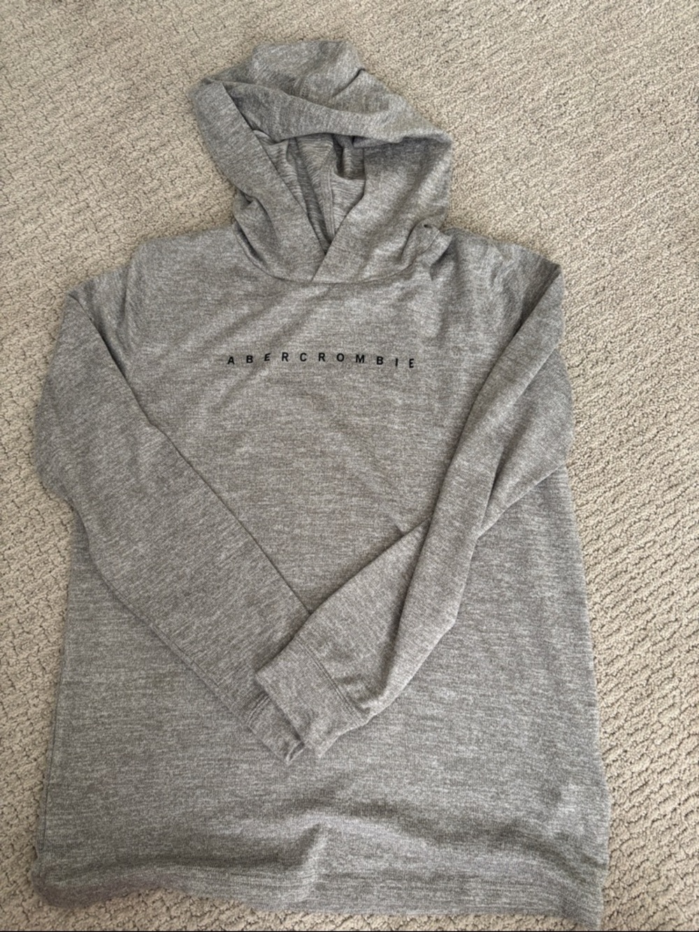 Abercrombie & Fitch Youth Gray Logo Hoodie